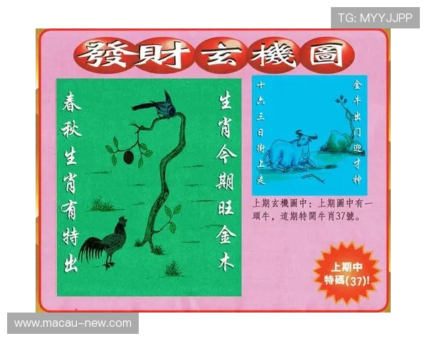 澳门彩在线登录常见问题解答，解决登录异常、密码找回等用户疑问